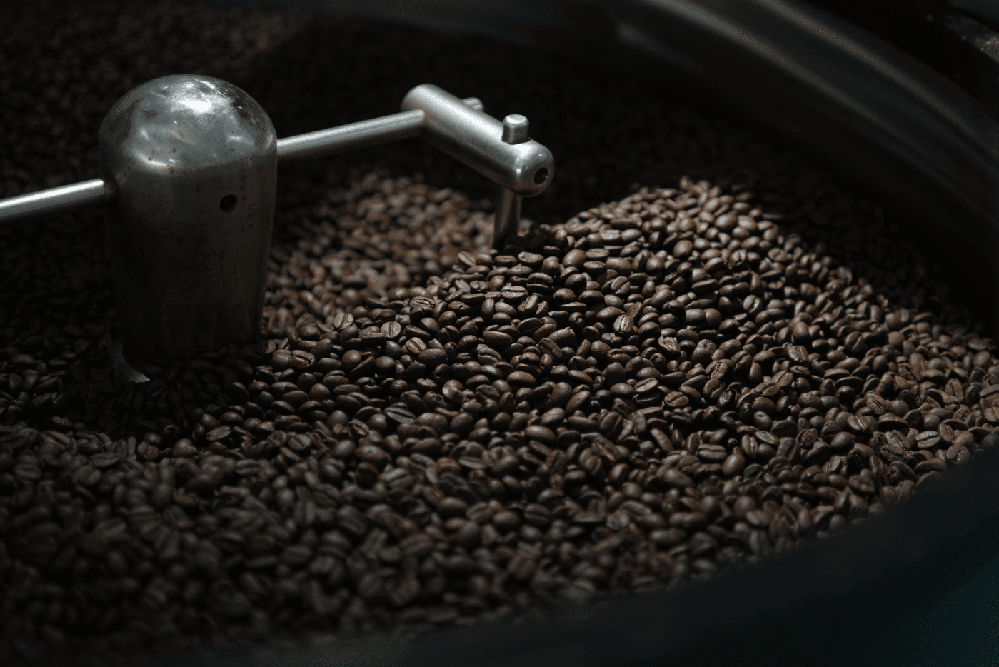The Perfect Roasting Profile for Bali Beans